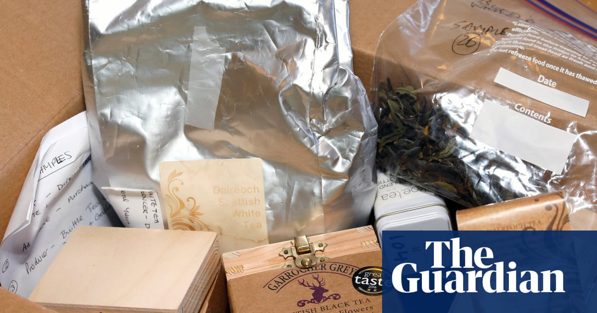 Unraveling the Tale of the Scottish Tea Fraudster – Mirror Brief